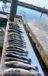 Awesome South Louisiana Fishing Haul 